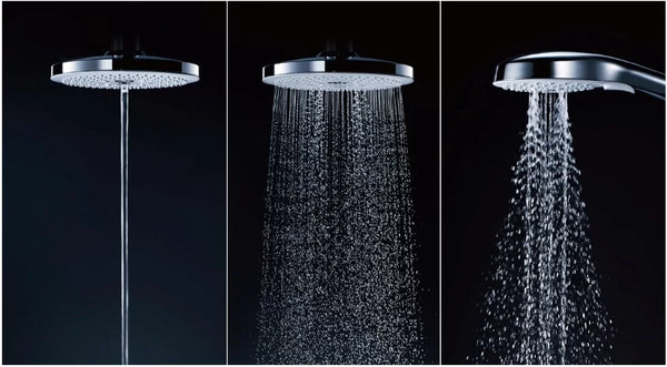 voi-sen-tam-toto-cuong-lam