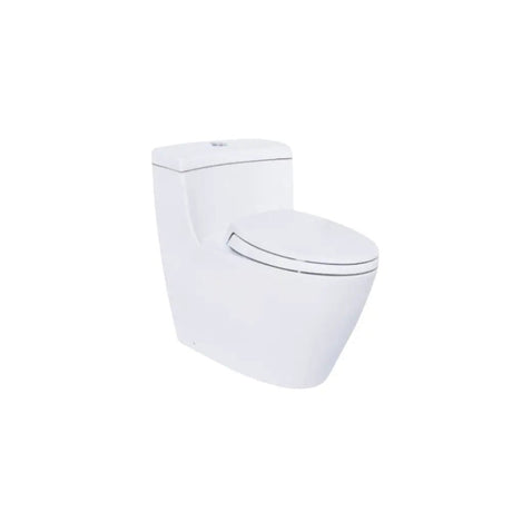 Bon Cau TOTO MS636DT2#XW Mot Khoi Nap TC393VS