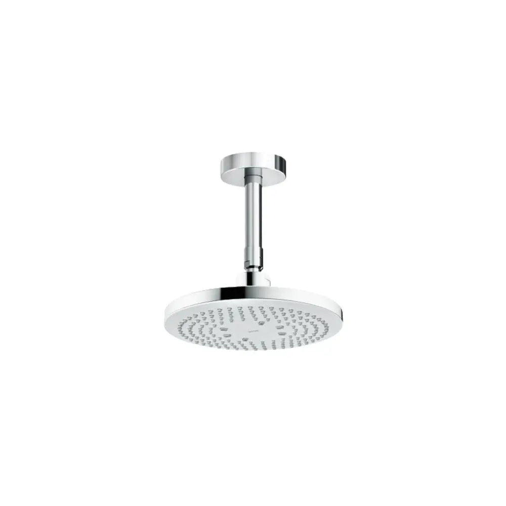 Bát sen gắn trần TBW01003B1A | Thiết Bị Vệ Sinh TOTO