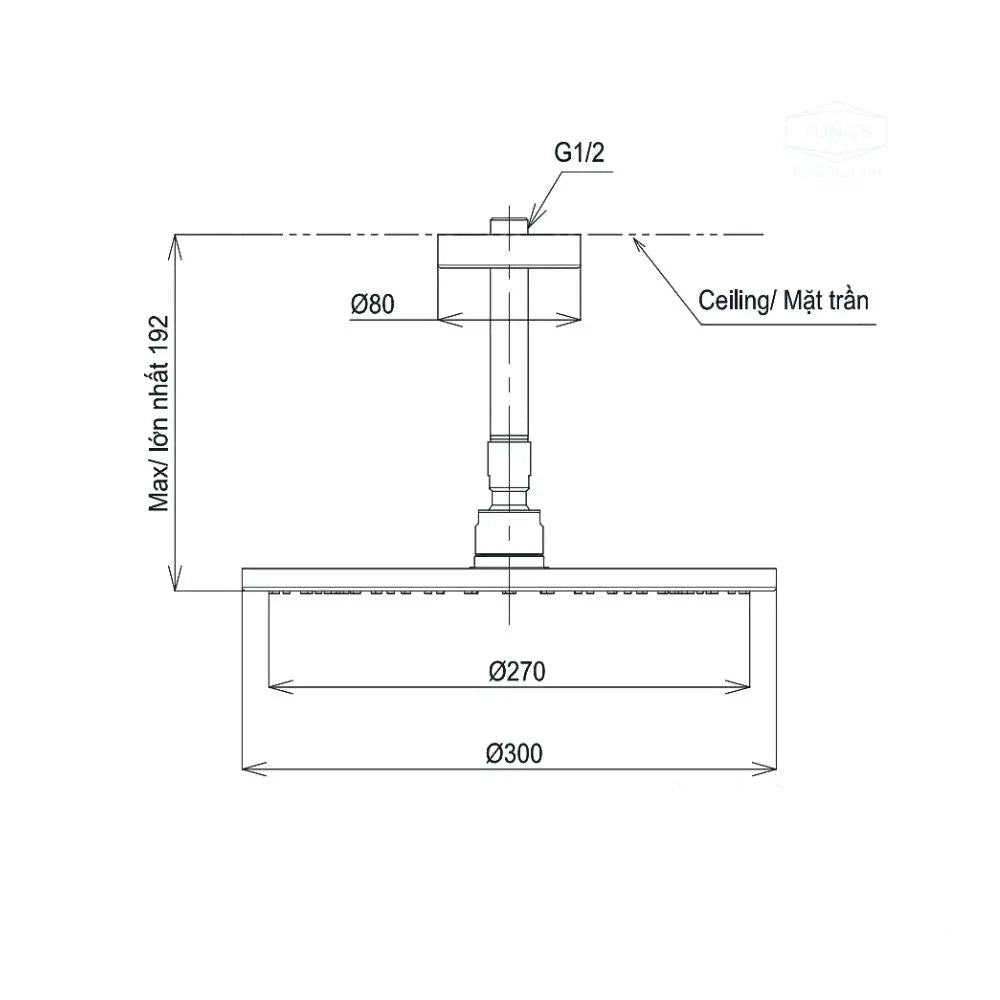 Bát sen gắn trần TBW07003A1 | Thiết Bị Vệ Sinh TOTO