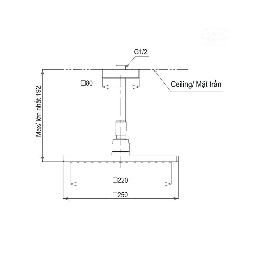 Bát sen gắn trần TBW08002A1 | Thiết Bị Vệ Sinh TOTO