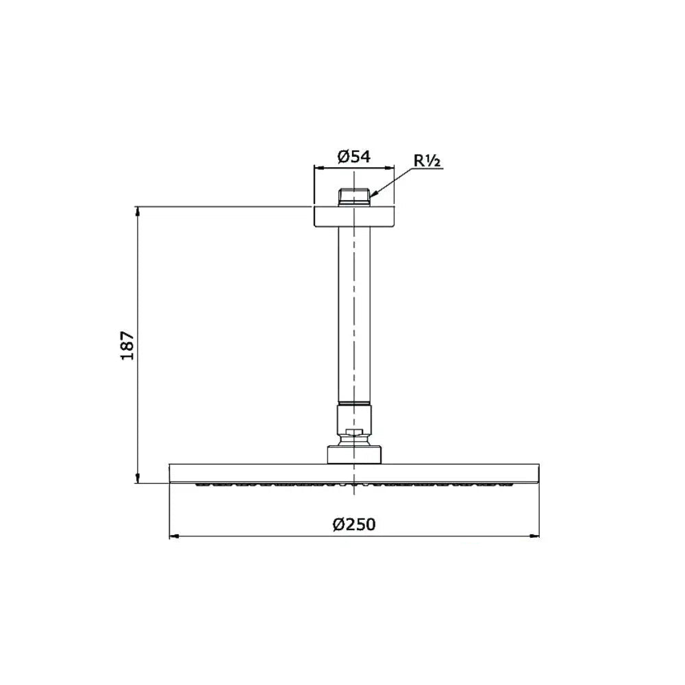 Bát sen gắn trần TX491SN | Thiết Bị Vệ Sinh TOTO